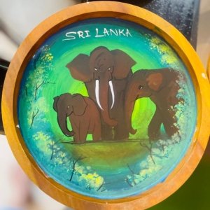 Hand-Painted Name Board – Sri Lanka Theme