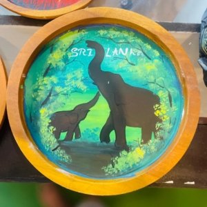 Hand-Painted Wooden Plaque – ‘Sri Lanka’