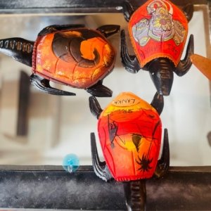 Gift Set – 4 Magnets (Mixed Designs)